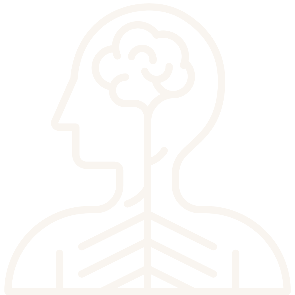 Icon of a human nervous system and brain representing how Diana Bejasa helps high-performing leaders stabilize their stress response for better focus and clarity.